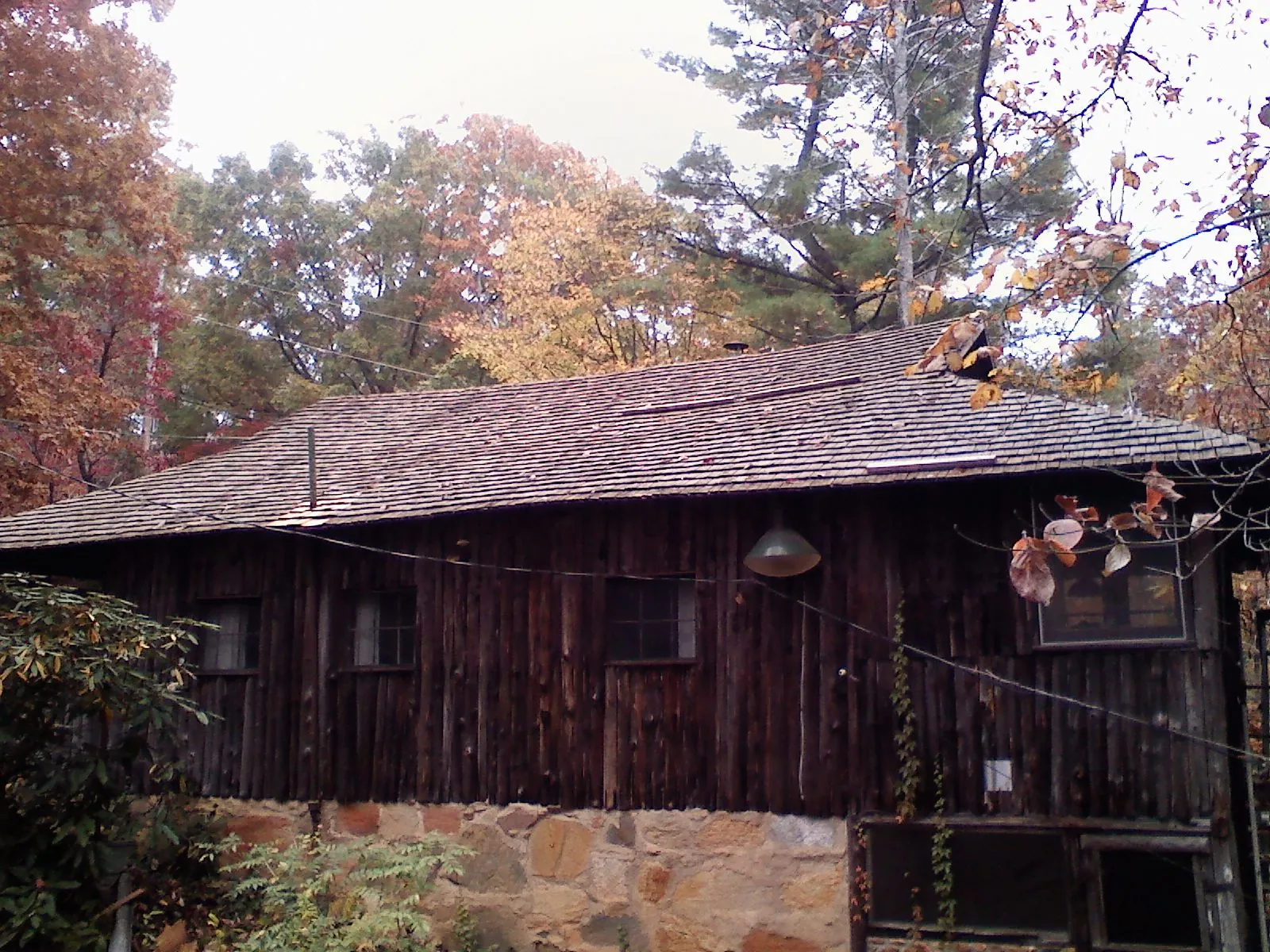 Weathered wood shake roof on a rustic board sided cabin in Colonia